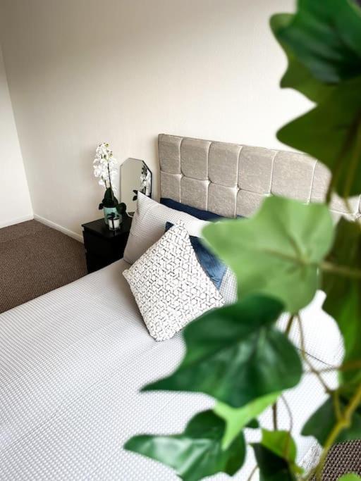 3 Bedroom House With Free Parking Chatham  Ngoại thất bức ảnh