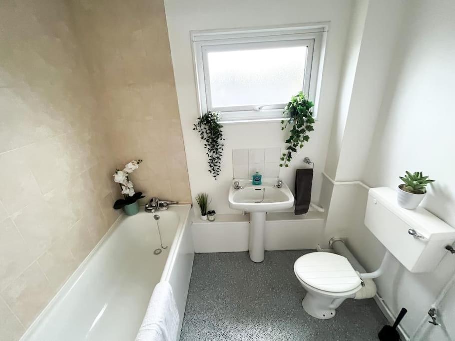 3 Bedroom House With Free Parking Chatham  Ngoại thất bức ảnh